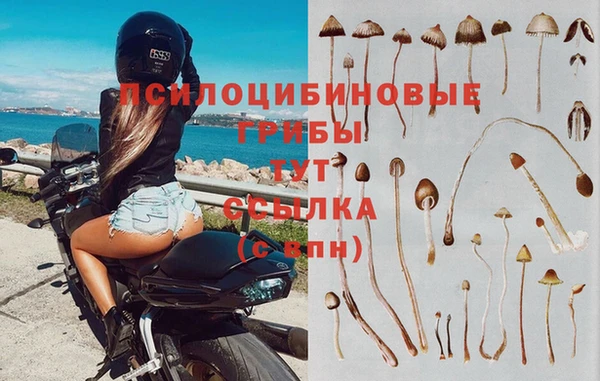 ПСИЛОЦИБИНОВЫЕ ГРИБЫ Богородск