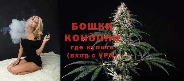 ПСИЛОЦИБИНОВЫЕ ГРИБЫ Богородск